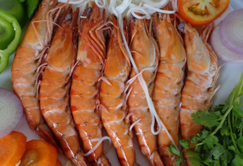 The Sweet Secret of the Bay: Why Chefs Prefer Wild-Caught Chaka Shrimp